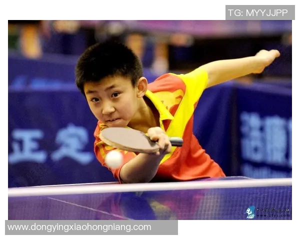 科学乒乓球力量训练方法探讨与实践技巧分享 科学乒乓球力量训练方法探讨与实践技巧分享