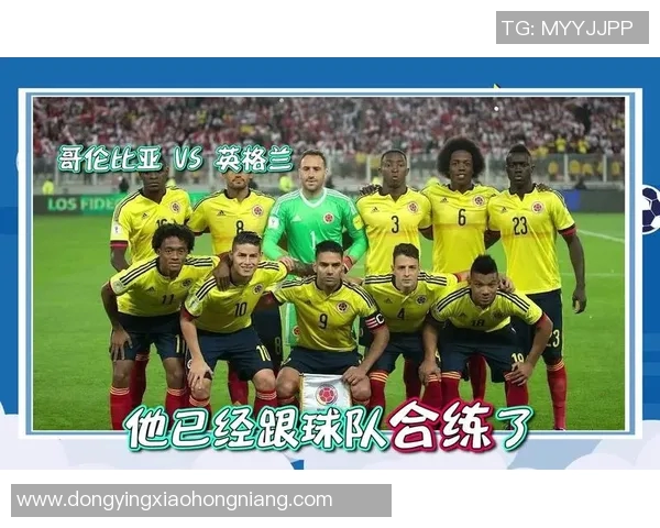 独家分析：重庆篮球队的配合对比