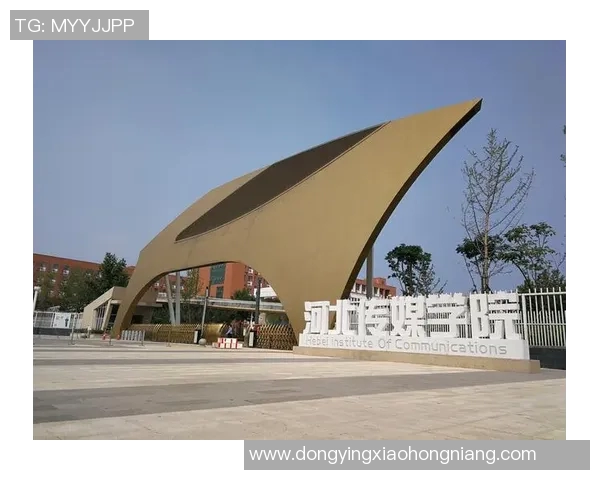 深圳足球队的拼搏历程与荣耀时刻全景纪实