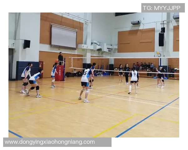 赛后分析:上海排球队与成都排球队在比赛中的灵活性对比探讨 赛后分析:上海排球队与成都排球队在比赛中的灵活性对比探讨