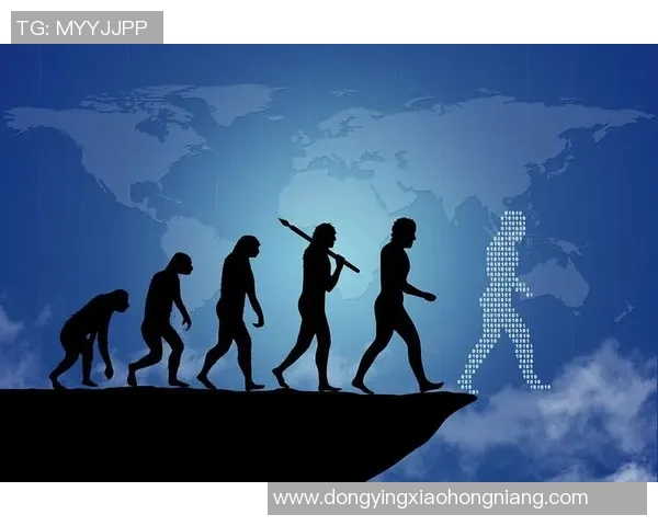 北京排球队运营分析：成功经验与面临挑战的全面探讨