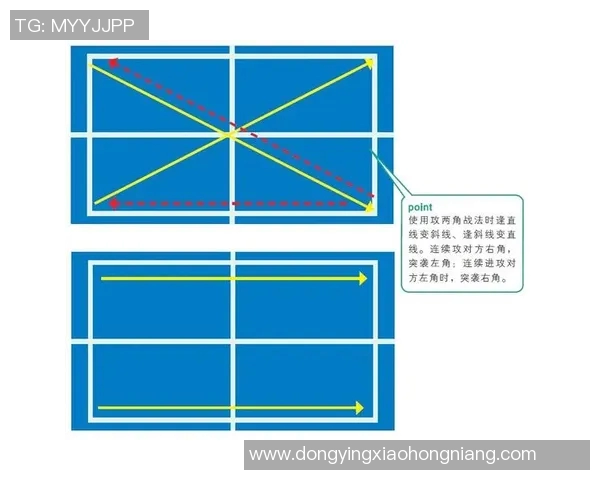 南京乒乓球队战术表现数据分析揭示胜负关键与策略优化路径 南京乒乓球队战术表现数据分析揭示胜负关键与策略优化路径