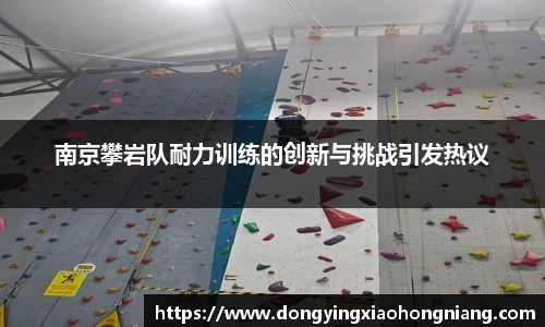 南京攀岩队耐力训练的创新与挑战引发热议