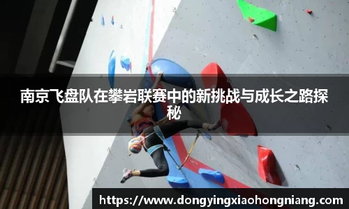 南京飞盘队在攀岩联赛中的新挑战与成长之路探秘