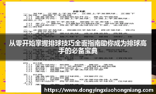 从零开始掌握排球技巧全面指南助你成为排球高手的必备宝典
