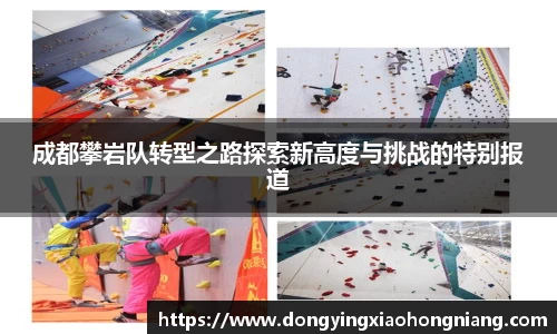 成都攀岩队转型之路探索新高度与挑战的特别报道