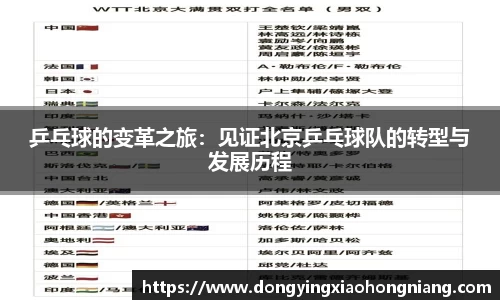 乒乓球的变革之旅：见证北京乒乓球队的转型与发展历程
