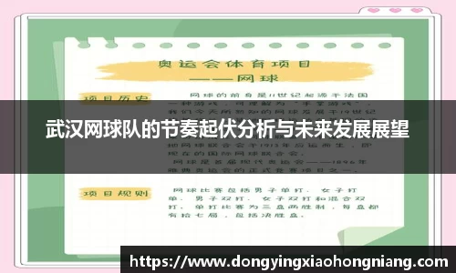 武汉网球队的节奏起伏分析与未来发展展望
