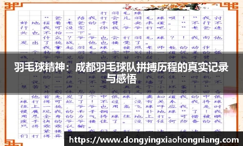 羽毛球精神：成都羽毛球队拼搏历程的真实记录与感悟