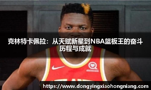 克林特卡佩拉：从天赋新星到NBA篮板王的奋斗历程与成就