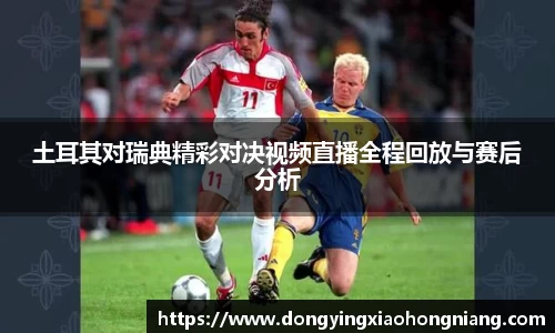 土耳其对瑞典精彩对决视频直播全程回放与赛后分析