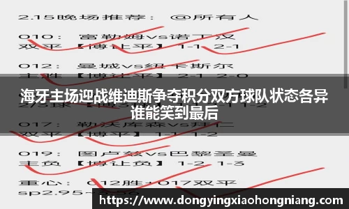 海牙主场迎战维迪斯争夺积分双方球队状态各异谁能笑到最后